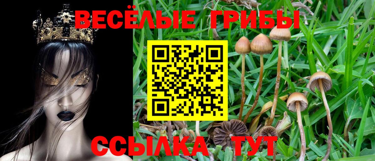 Каменск-Шахтинский  Псилоцибиновые грибы Cubensis  Вход с VPN  Галлюциногенные грибы ЛСД 